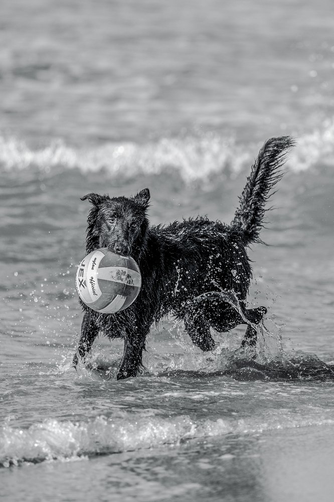 Photograph by THANUSSANTH THARMAPALAN