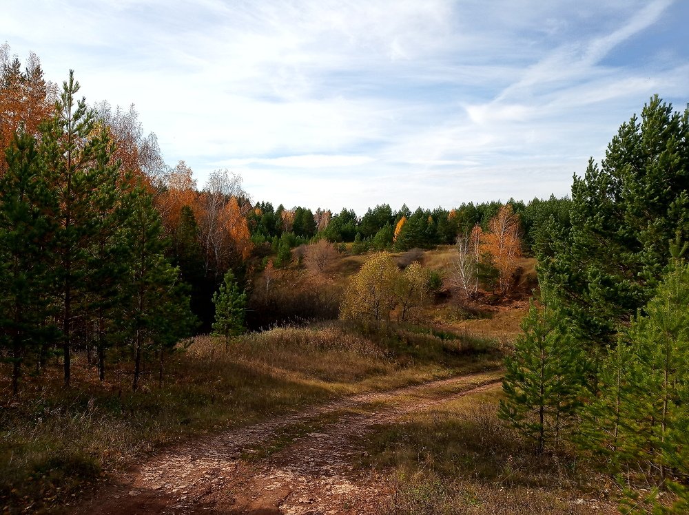 Там на неведомых дорожках следы осенней красоты!