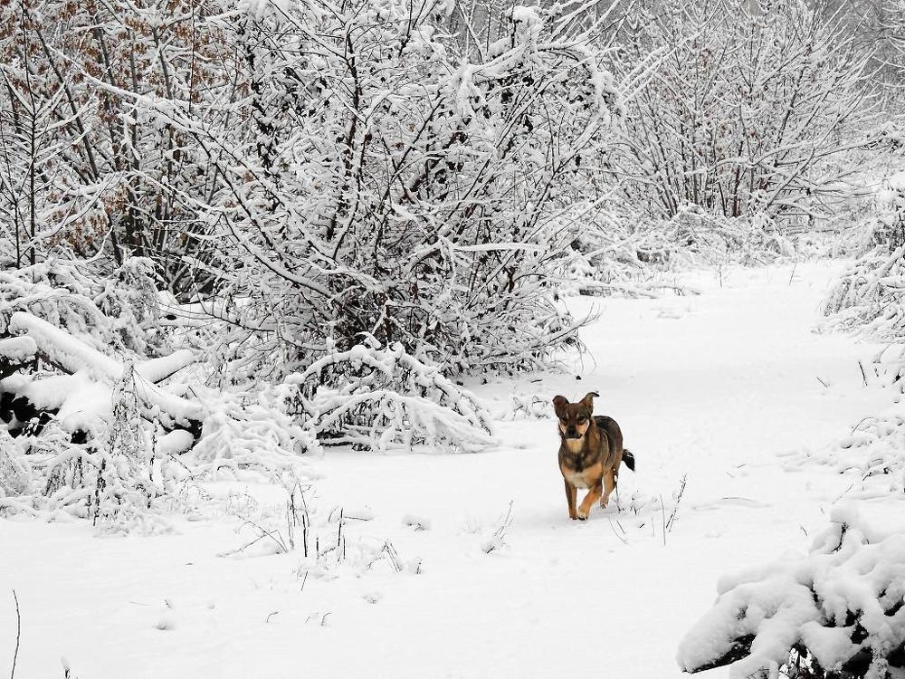 Photograph by Роман Савоцкий