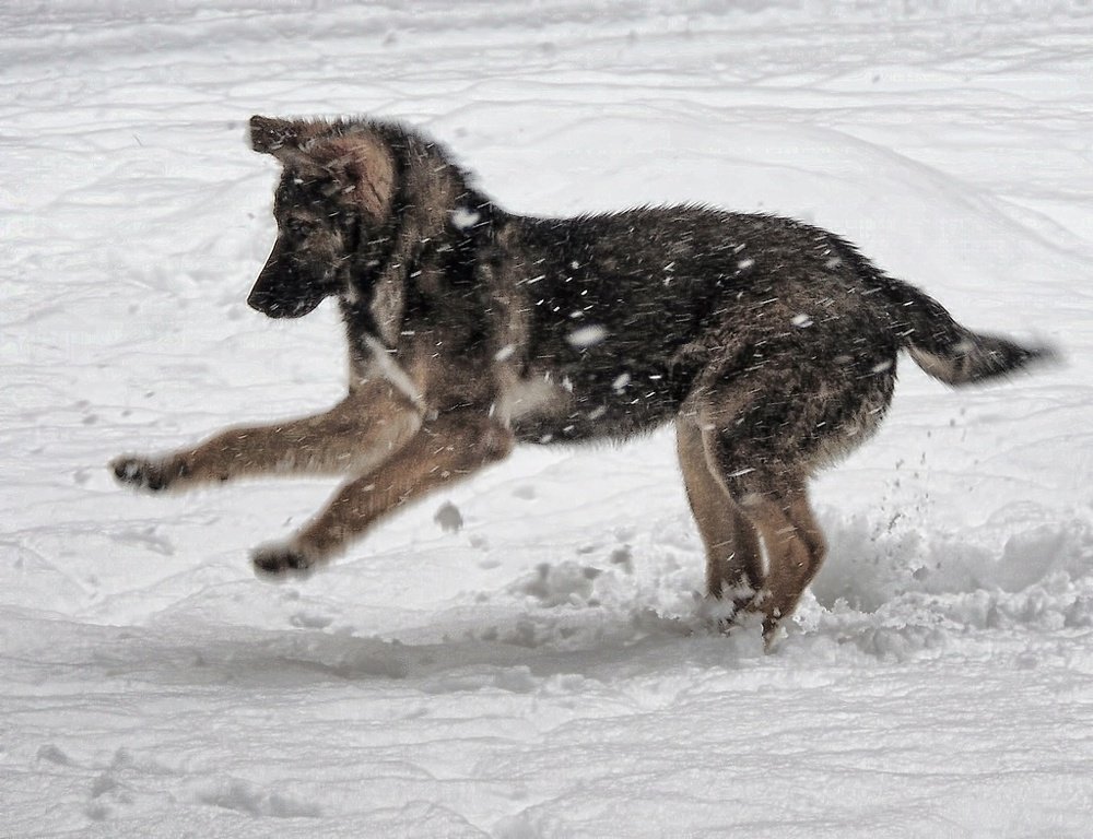 Photograph by Роман Савоцкий