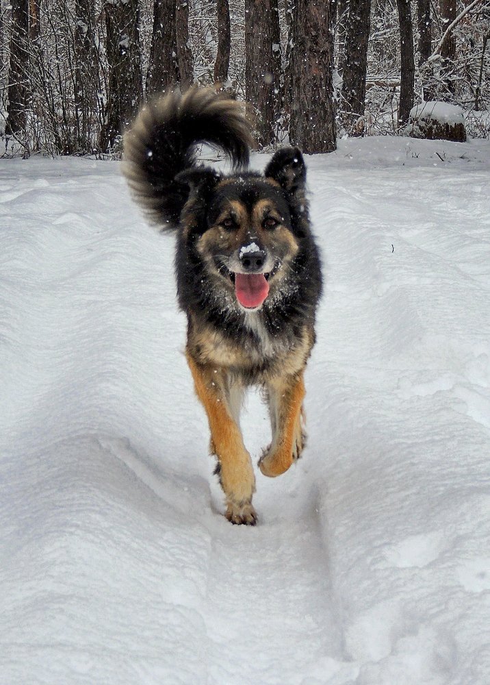 Photograph by Роман Савоцкий