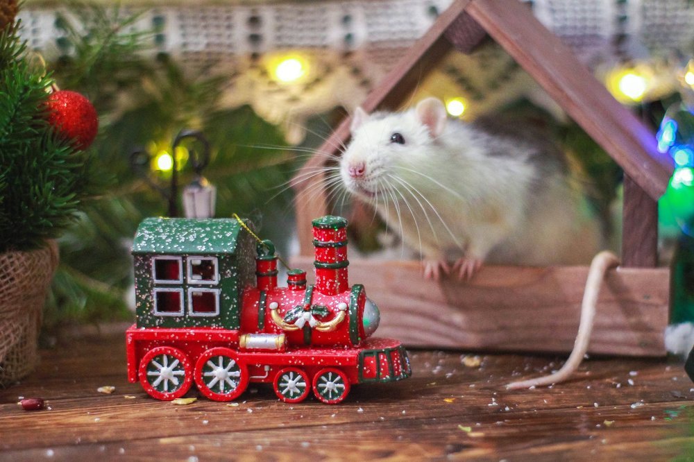 Photograph by Маргарита Федурина