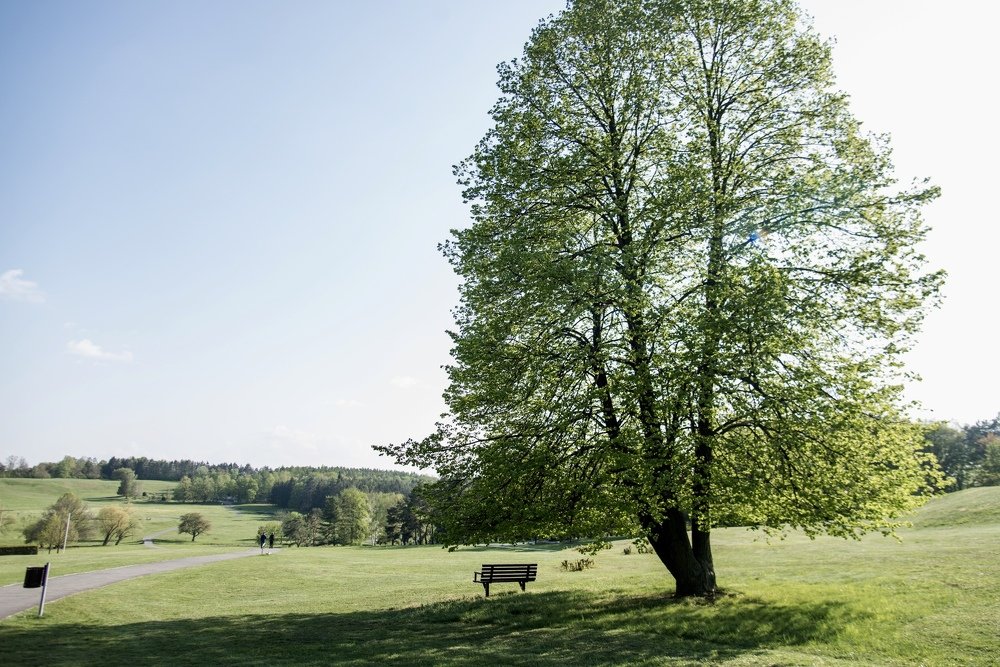 Photograph by Наталья Ковалёва