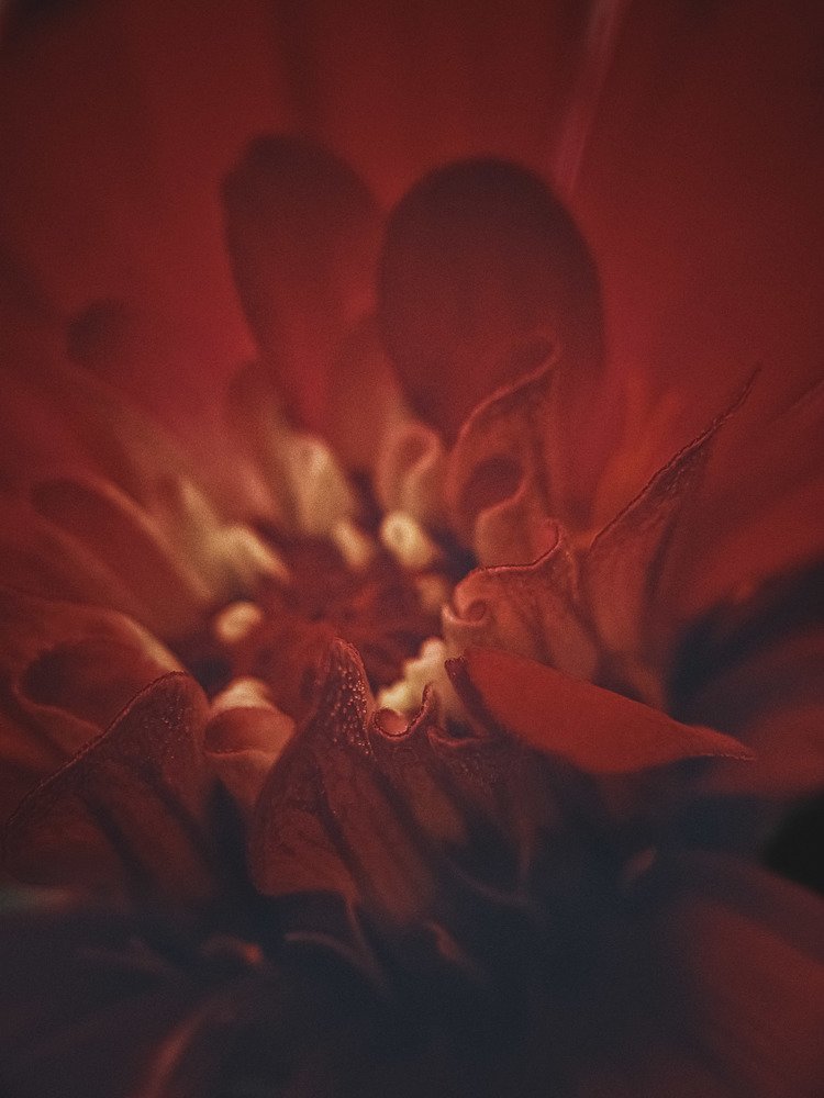 Photograph by Iin Fortunata Angelina