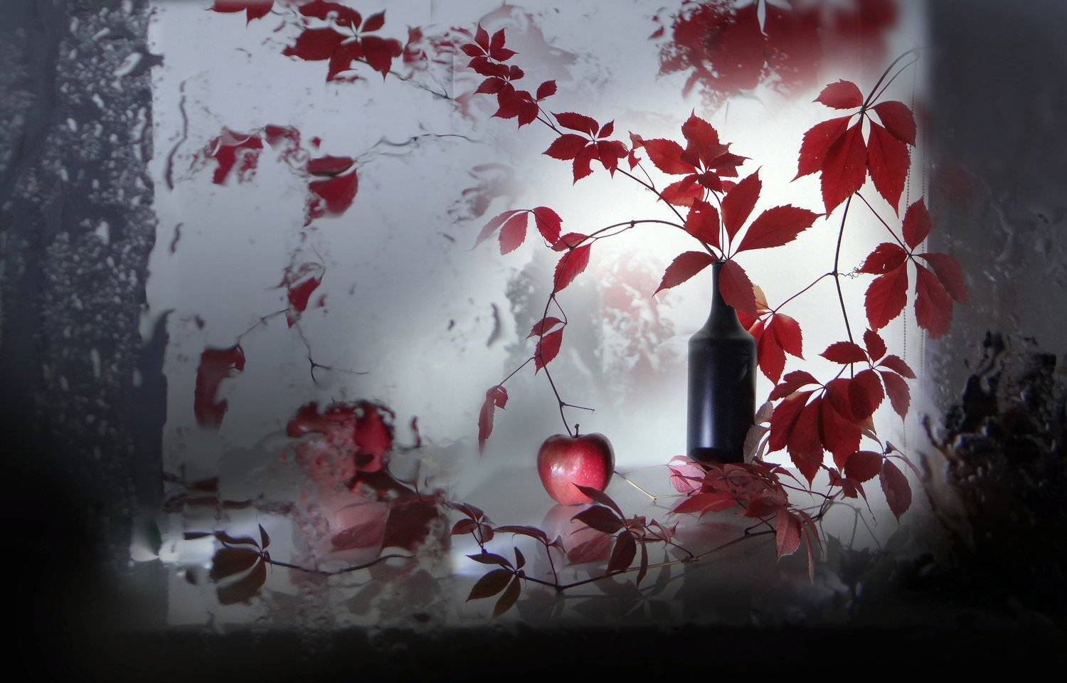 Photo #3759625