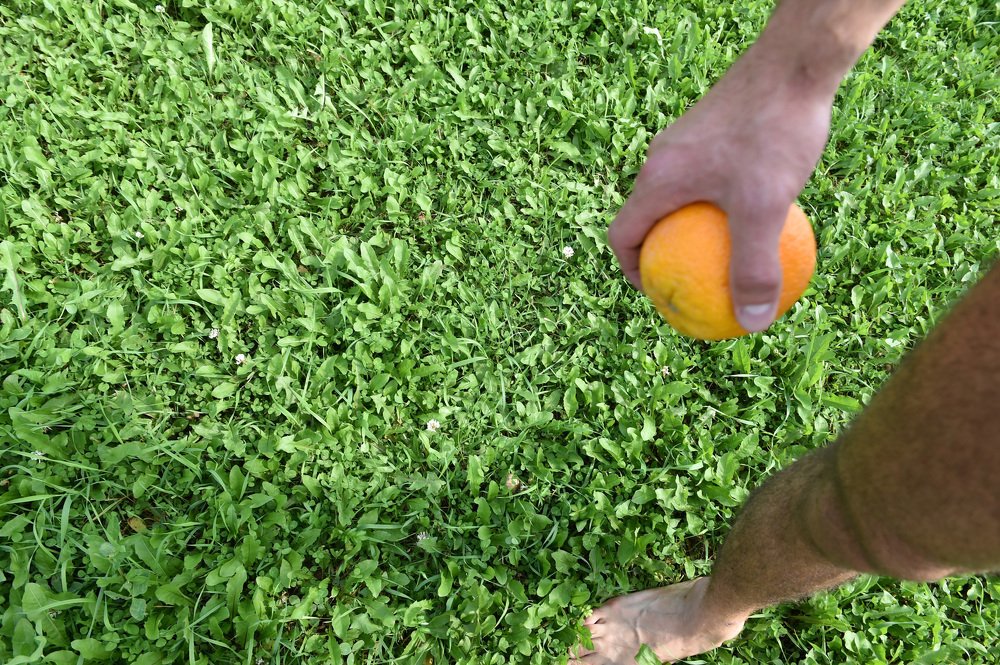 Photograph by Михаил Чепкасов