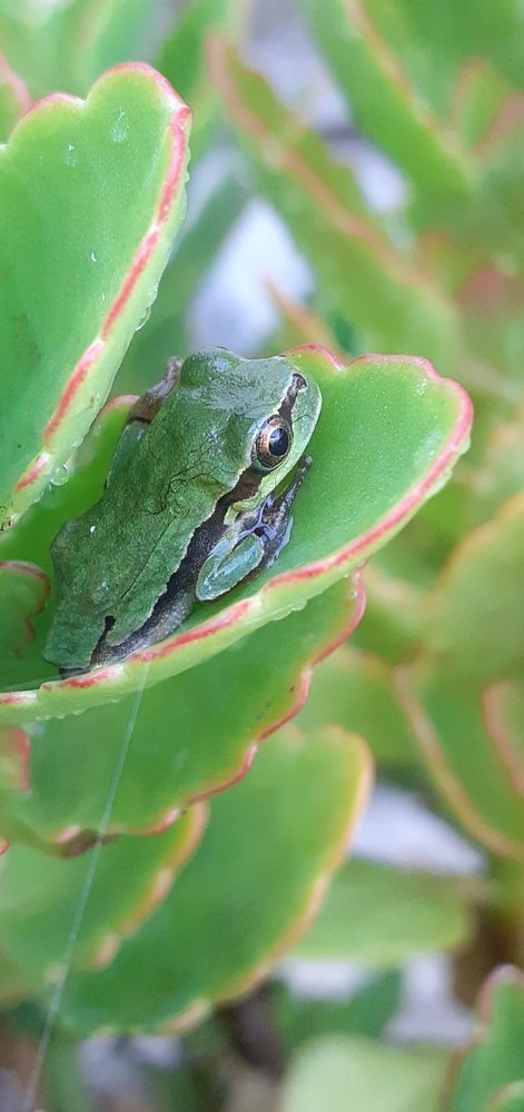 Photograph by Галина Воротникова