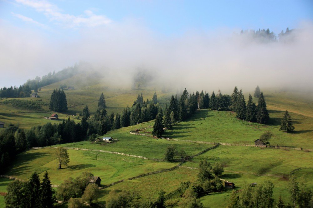 Photograph by Dinel Teodorescu