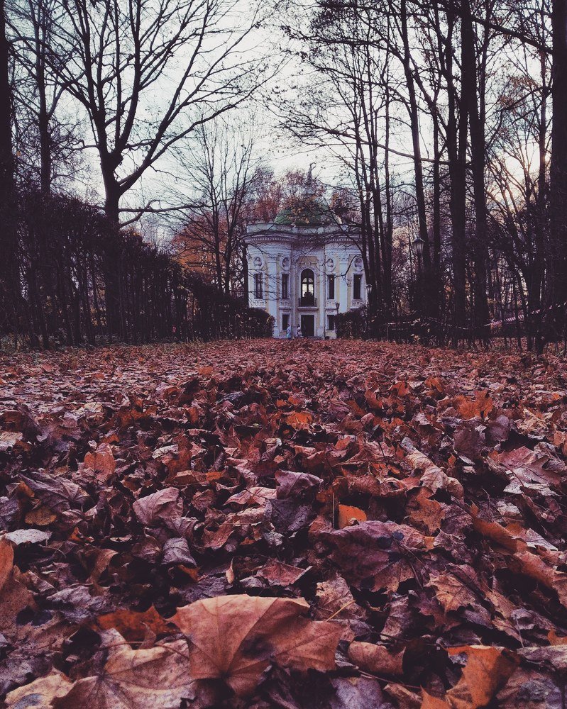 Осень в Кусково.