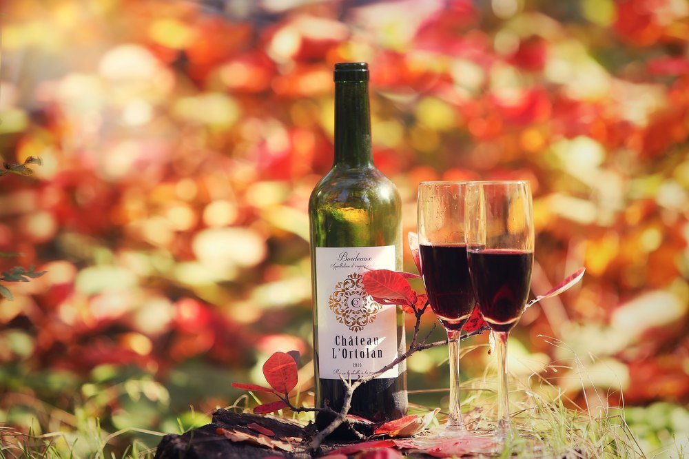 Photograph by Галина Ледок