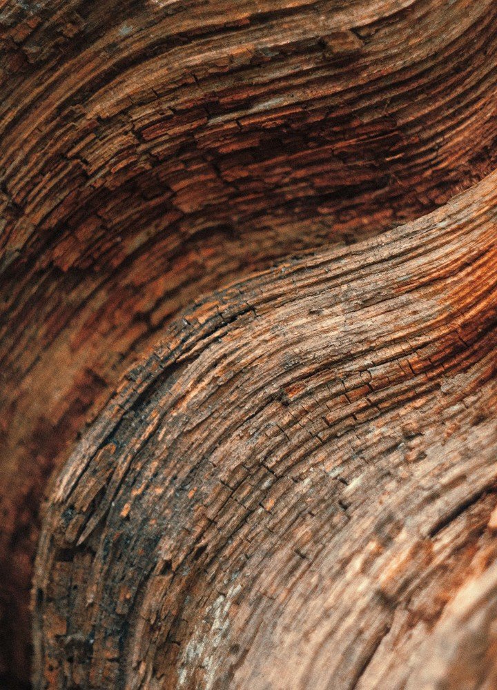 Photograph by Светлана Кавказская