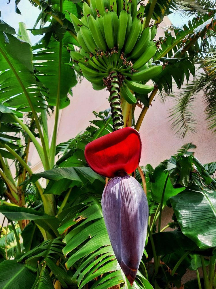 Photograph by Богданна Федорів