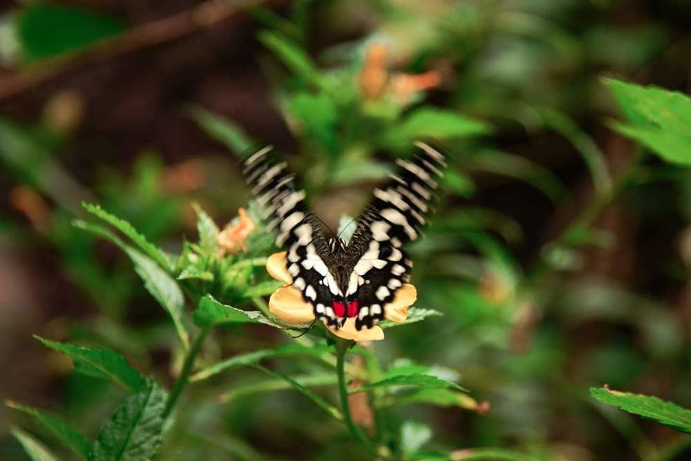 Фотография автора Anna NovaLova