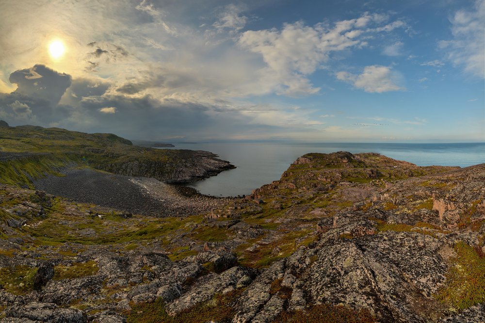 Дикие земли