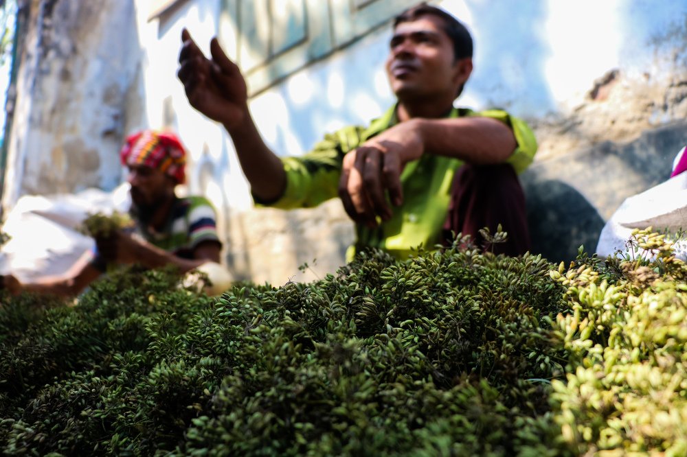 Photograph by (Sakib) S.M.Al Muztaba Rosul