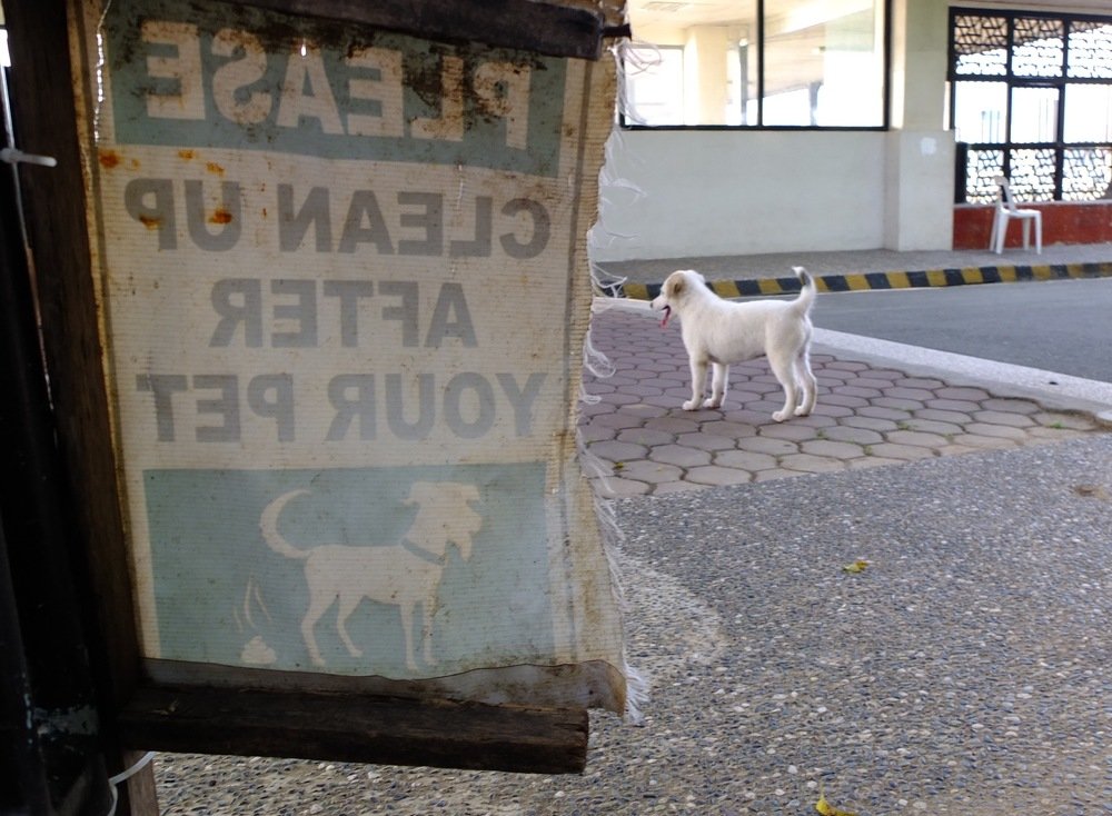 Photograph by Lyndon Aguila