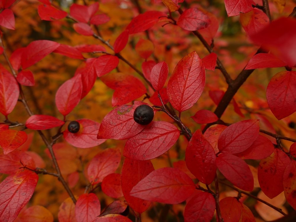 Photograph by Наталья