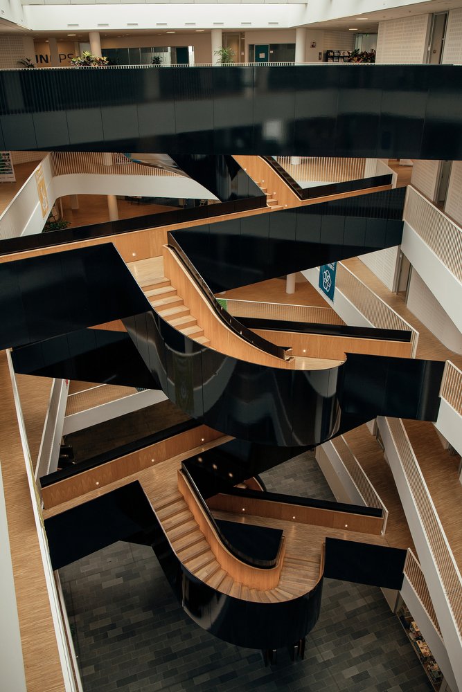 Фотография автора Елена Ельшина