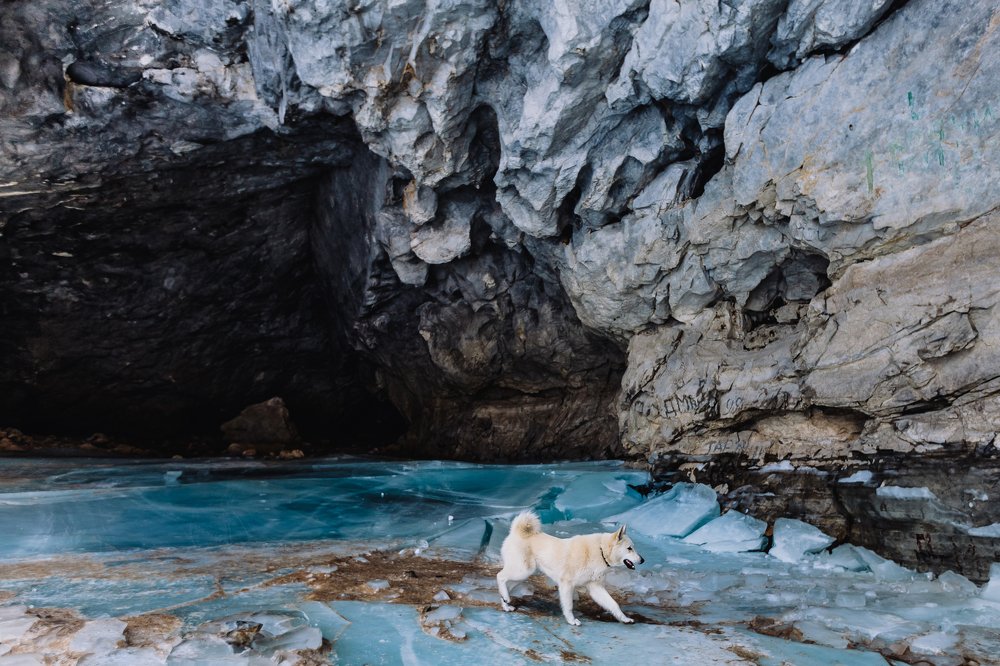 Фотография автора Анна Рыжкова