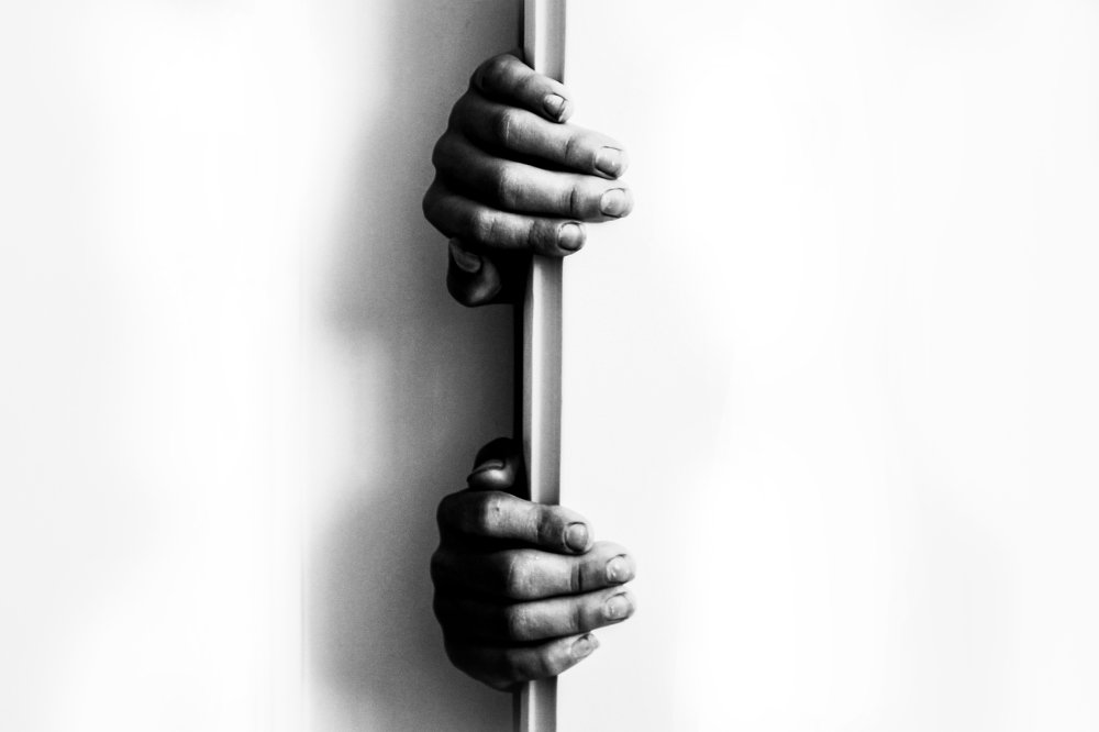 Photograph by Mohammad Tayebi