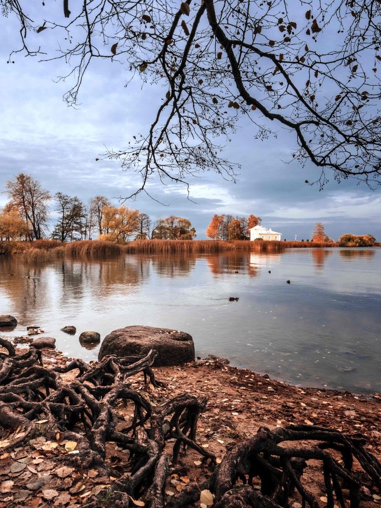 Photograph by Irina Usacheva