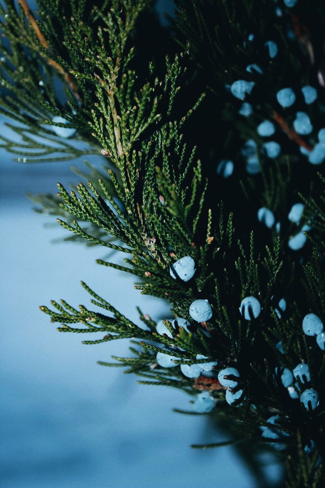 Фотография автора Inna Krekhovetska