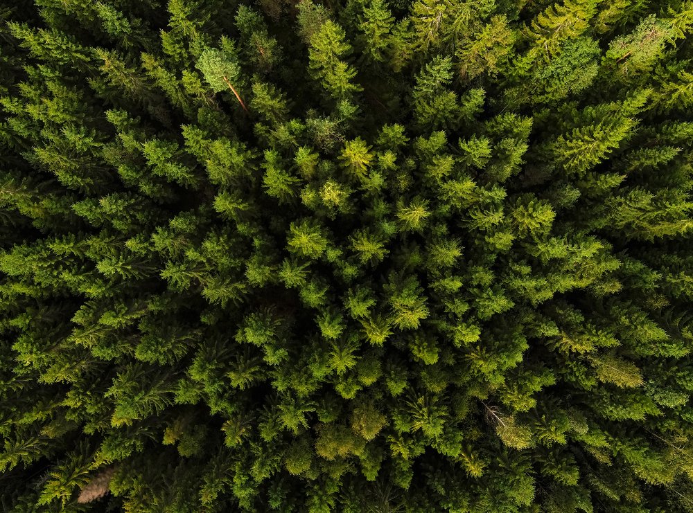 Photograph by Александр Абросимов