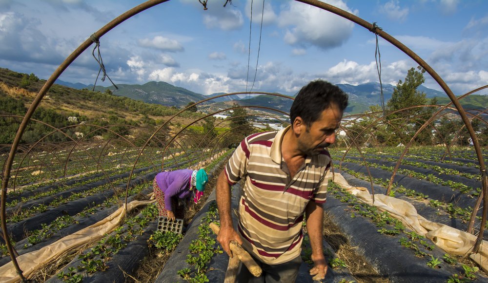 Photograph by Burcu Başyiğit