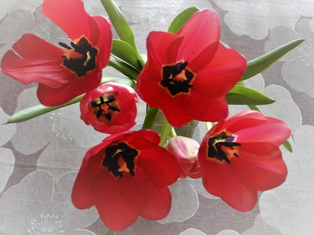 Photograph by Татьяна Красавцева