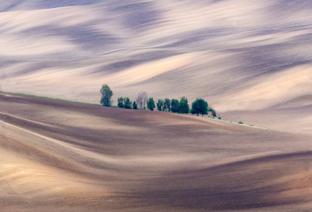 Фотография автора Людмила Прокофьева