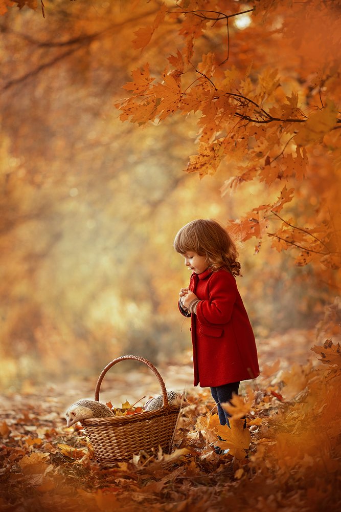 Photograph by Енгалычева Антонина