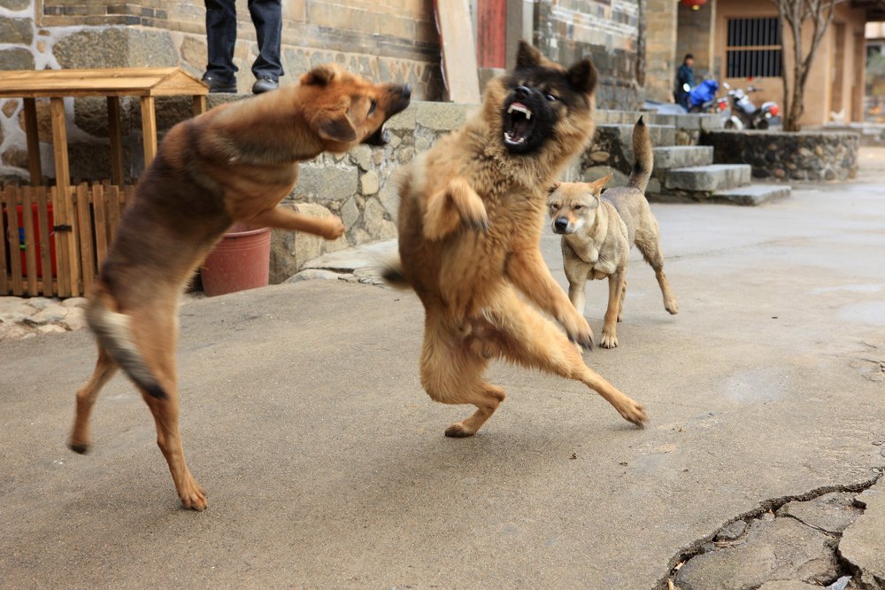 Photograph by Сергей Скворцов