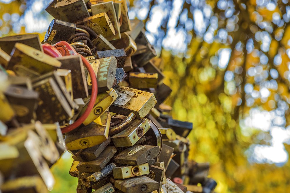 Photograph by Helena Grigorian