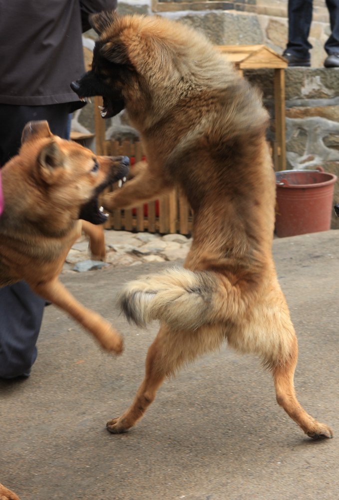 Photograph by Сергей Скворцов