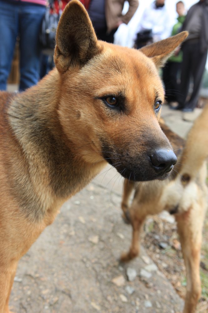 Photograph by Сергей Скворцов