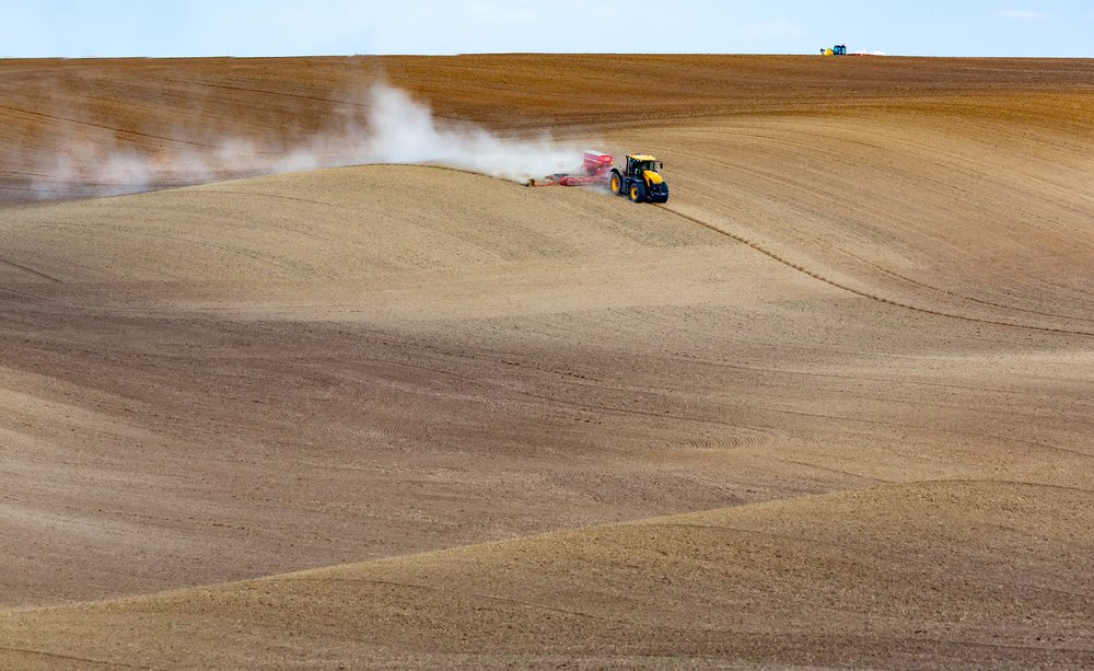 Фотография автора Людмила Прокофьева