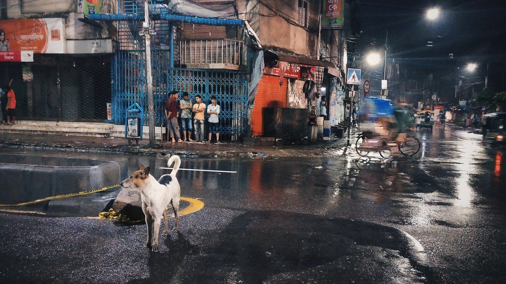 Photo #3760378