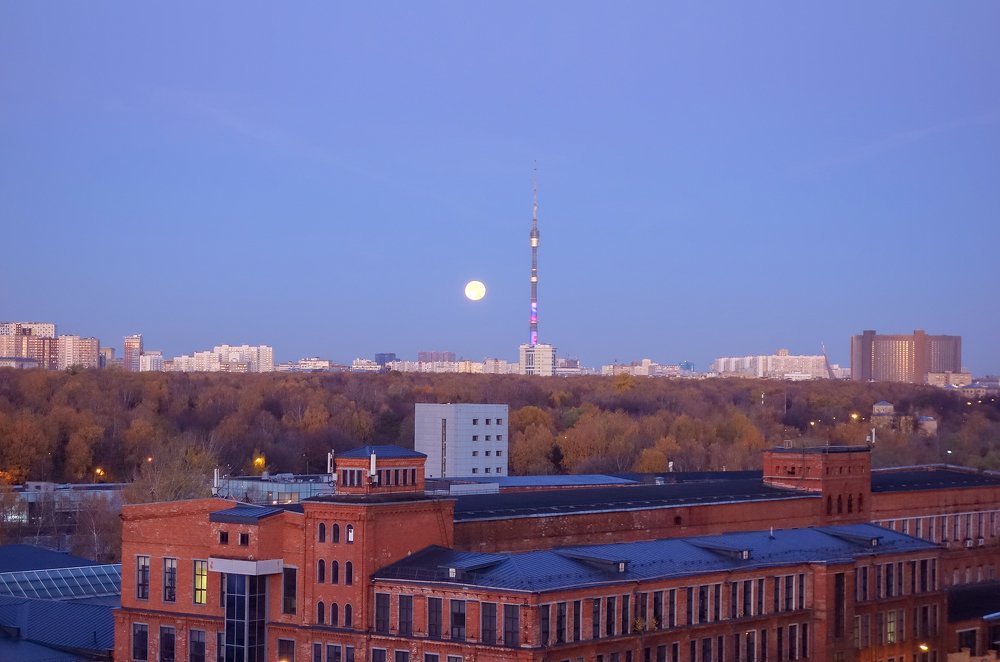 Photograph by IRINA KORNEVA