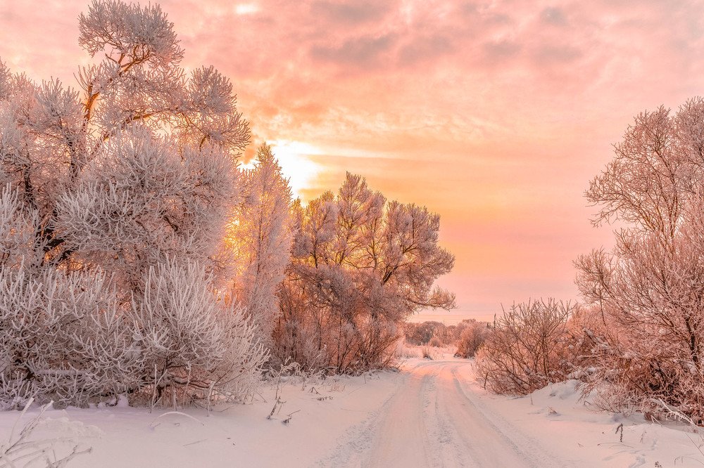 Фотография автора Андрей Меньших