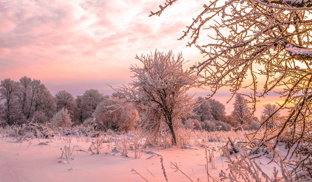 Фотография автора Андрей Меньших