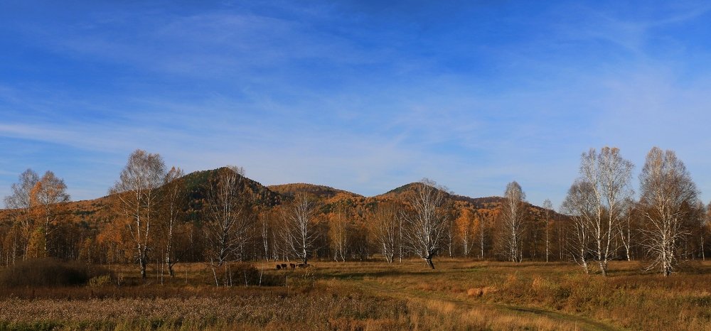 На просторах Башкирии