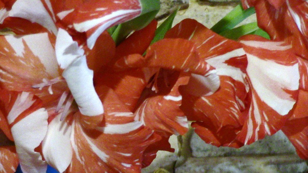 Photograph by Ирина Степановна Азаренкова