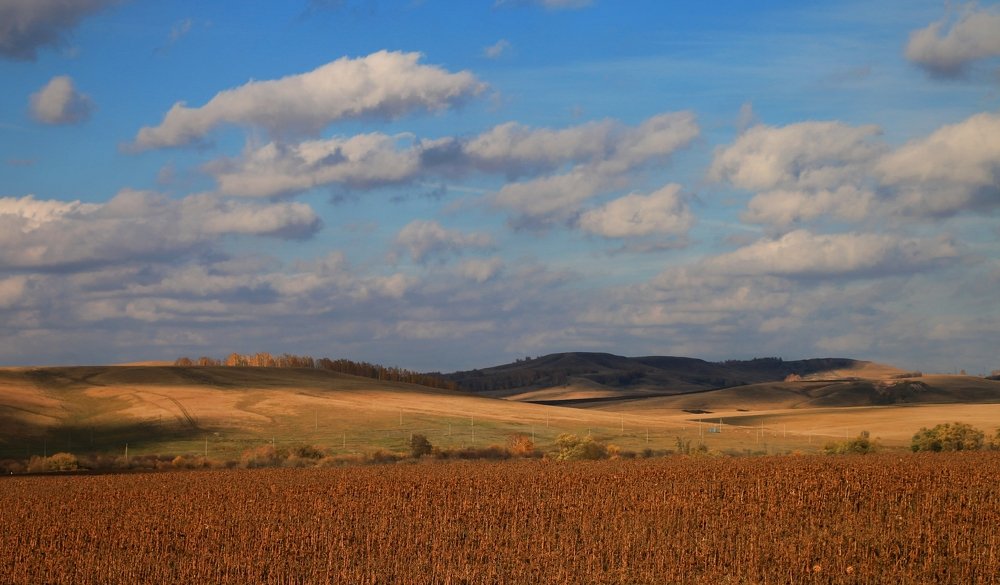 Ландшафт Среднего Поволжья