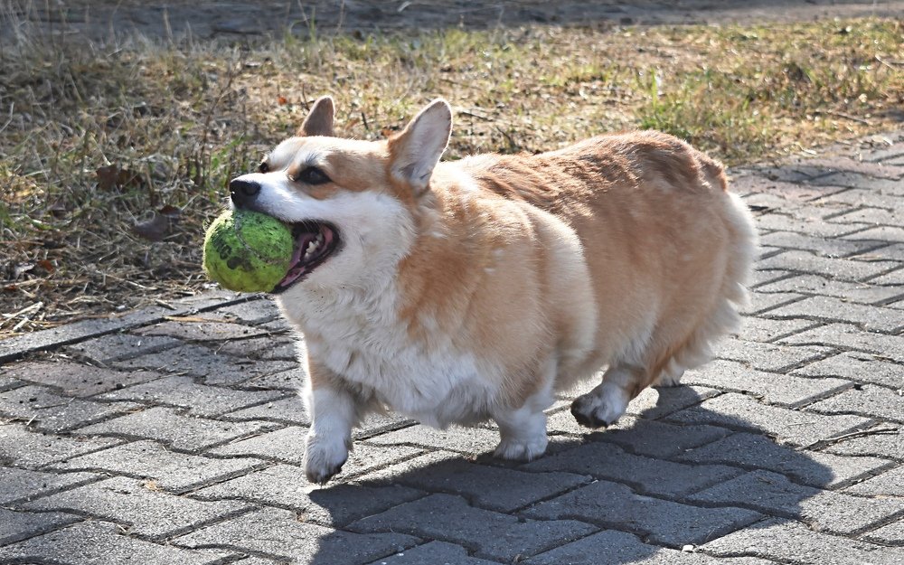 Photograph by Светлана Титова