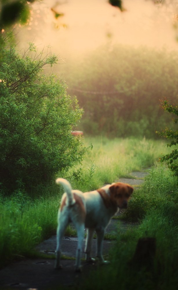 Photograph by Федор Фокин