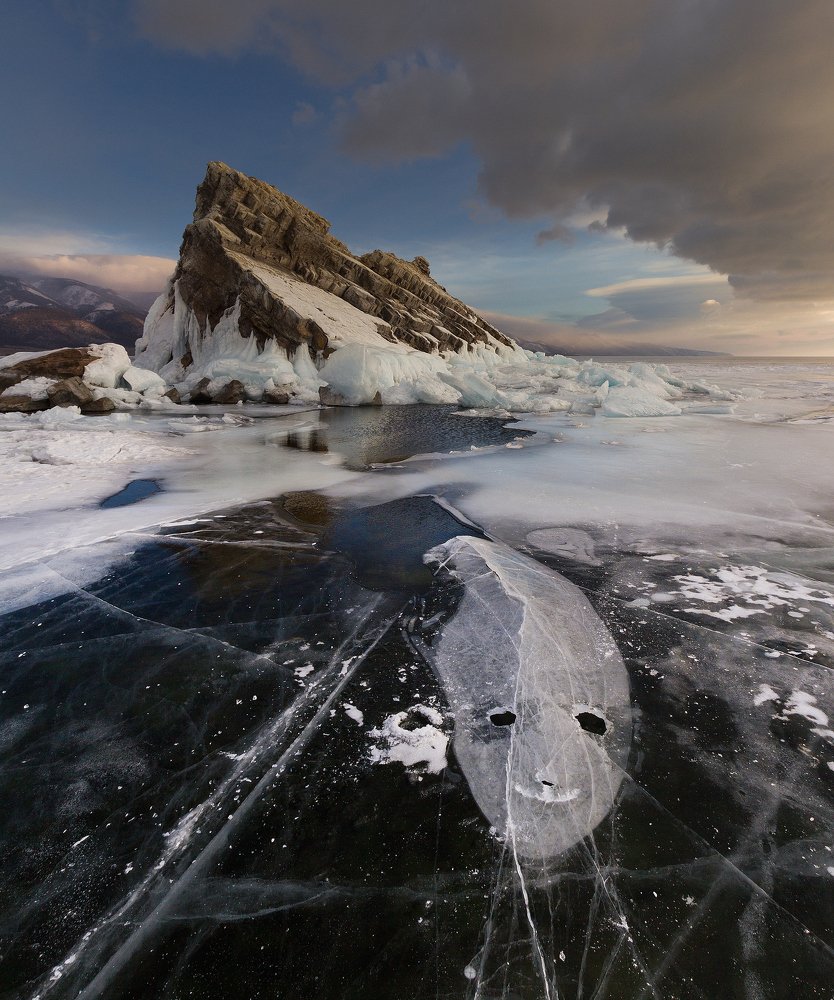 Ледяная нерпа