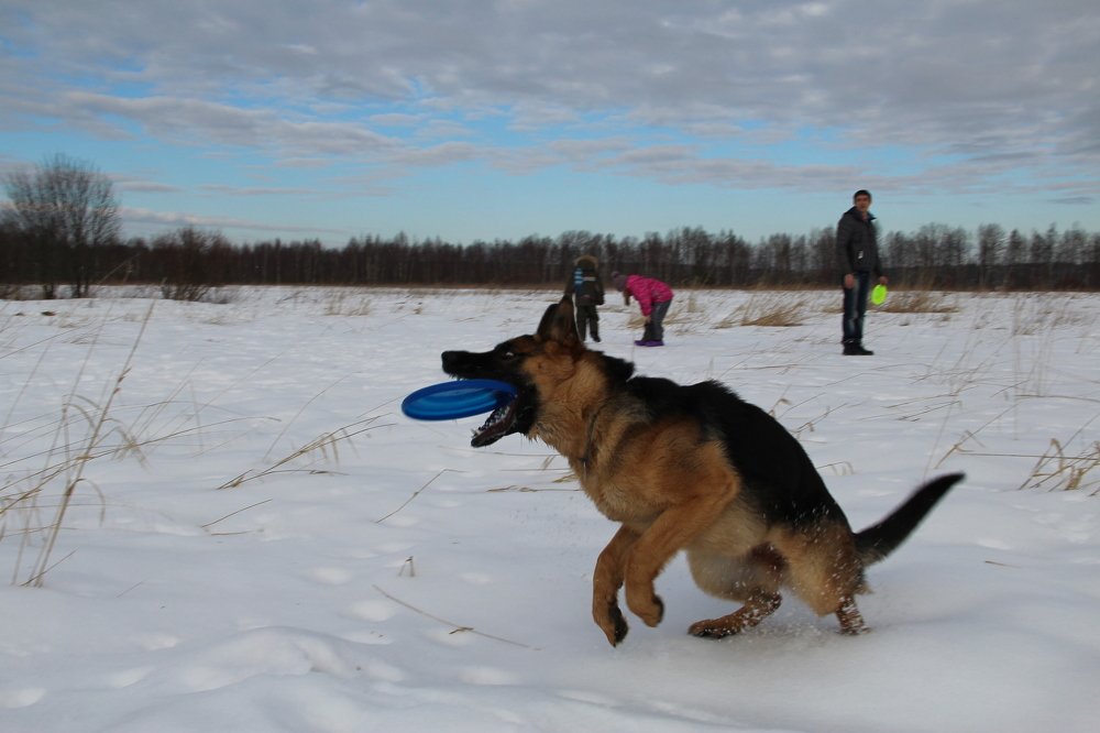 Photograph by Andrey Lesnik