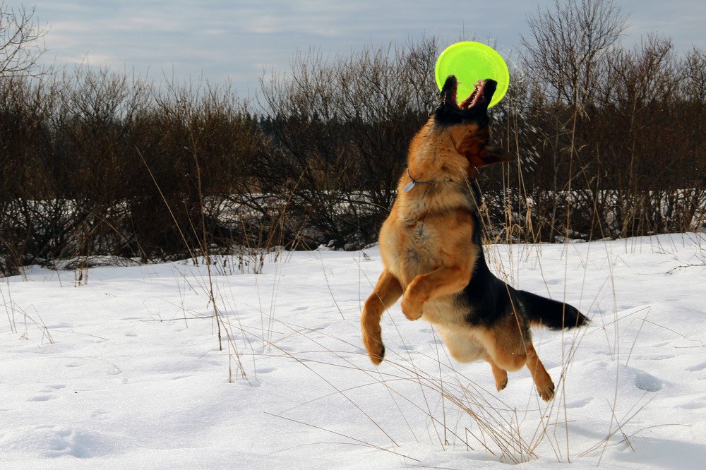 Photograph by Andrey Lesnik