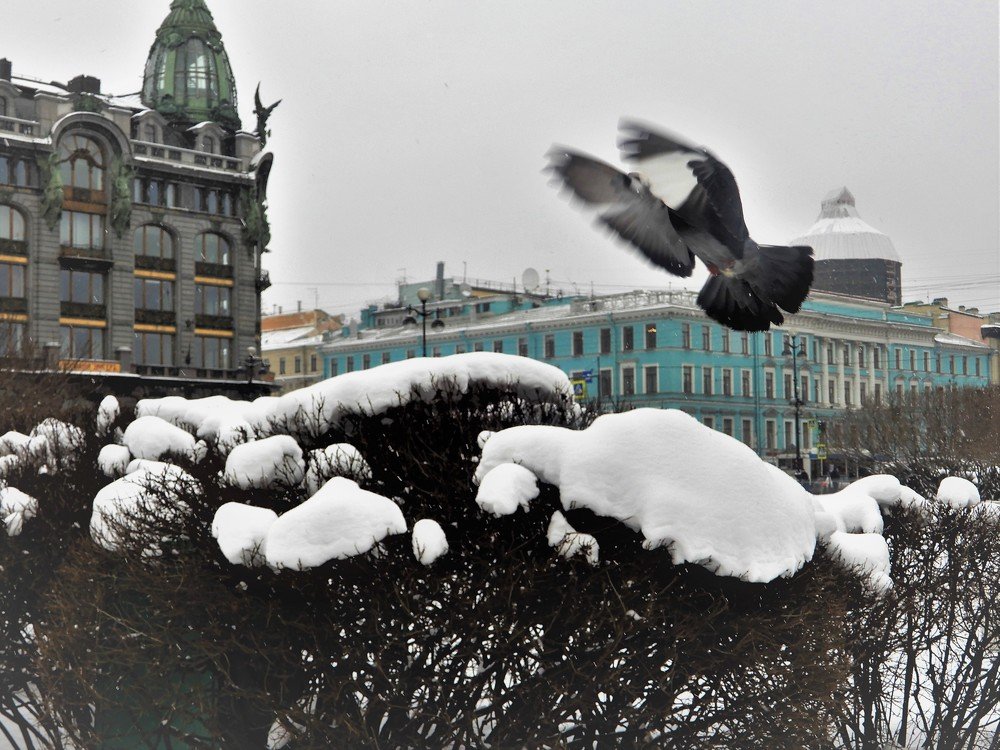 Photograph by Татьяна Красавцева