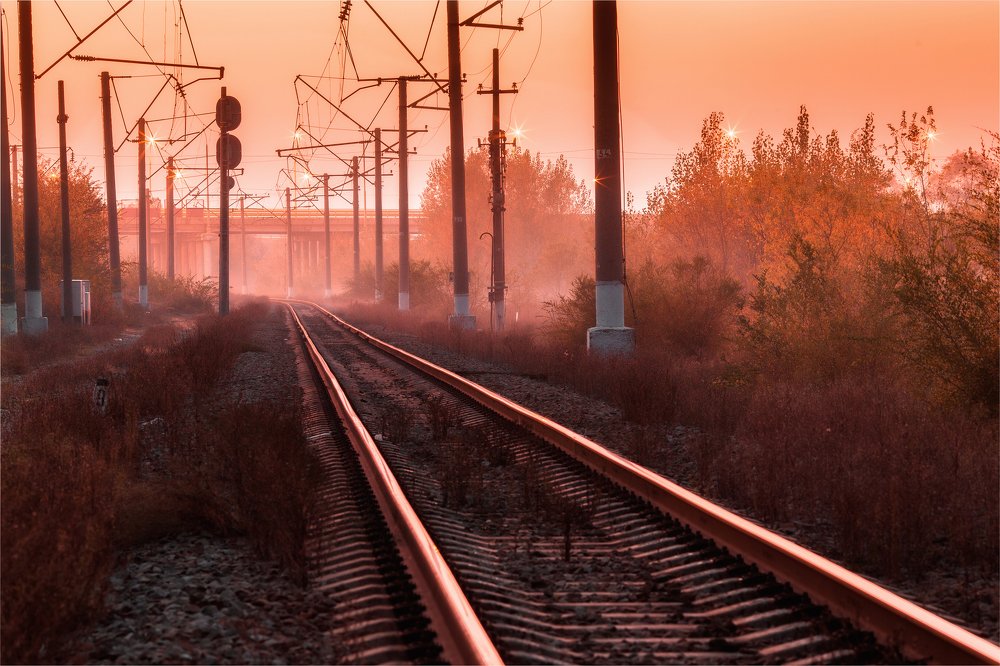 Photograph by Maksim Miroshnichenko